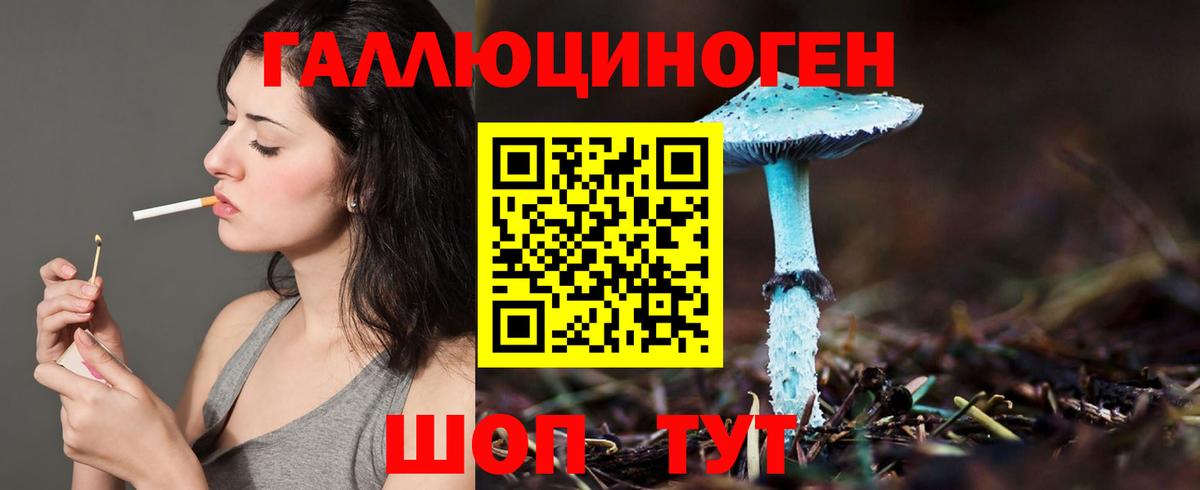 Галлюциногенные грибы Psilocybe Троицк